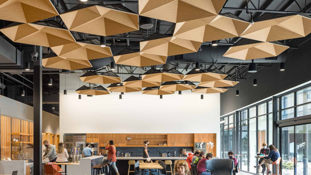 Acoustic Solutions
